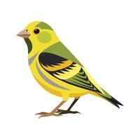 Stylized siskin art for nature vector