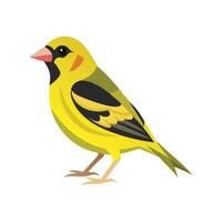 Dynamic siskin illustration for creative projects vector