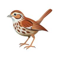 Dynamic song sparrow art for nature vector