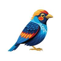 Exquisite Spangled Cotinga Bird Color Design vector