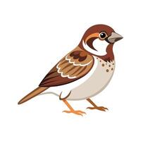 Sparrow Bird Dynamic Illustration with Details vector