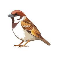 Sparrow Bird Artistic Representation with Bright Colors vector