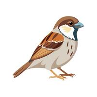 Charming Sparrow Bird Artistic Design Illustration vector