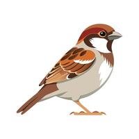 Artistic Sparrow Bird Illustration with Unique Style vector