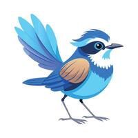 Unique Splendid Fairywren Bird Design with Colors vector