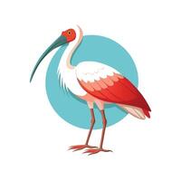 Spoonbill Bird Detailed Colorful Artistic Design vector