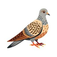 Charming Spotted Dove Bird Color Design vector
