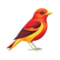 Colorful Summer Tanager Bird Design Illustration vector