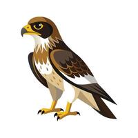 Swainsons Hawk Bird Artistic Design Representation vector