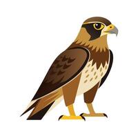Artistic Representation of Swainsons Hawk vector