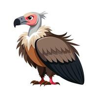 Artistic Representation of Vulture Bird vector