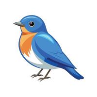 Artistic Western Bluebird Bird Representation vector