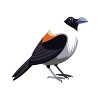 Artful Design of WhiteCapped Tanager Bird vector