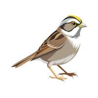 Vibrant WhiteThroated Sparrow Artistic Design vector