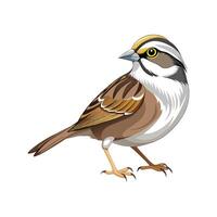 WhiteThroated Sparrow Bird Artistic Design vector