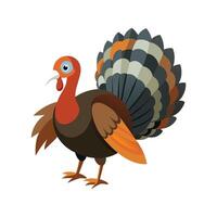 Artistic Representation of Wild Turkey Bird vector