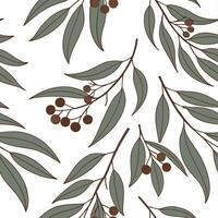 Rustic eucalyptus seamless tiles pattern with dried eucalyptus motifs and earthy green tones ideal for country style kitchens Set 8 vector