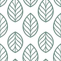 Geometric Pilea seamless pattern with sharp lines and modern aesthetics on white vector