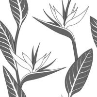 Classic embroidered Bird of Paradise seamless pattern with rich textures on white Set 3 vector