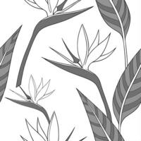 Classic embroidered Bird of Paradise seamless pattern with rich textures on white Set 2 vector