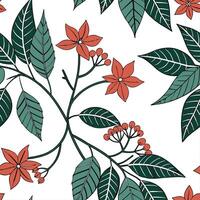 Botanical garden poinsettia seamless tiles pattern with various poinsettia species in natural reds on white background perfect for serene spaces Set 3 vector