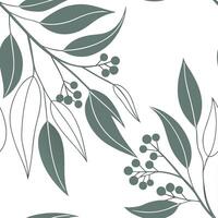 Botanical garden eucalyptus seamless tiles pattern with various eucalyptus species in natural greens on white background perfect for serene spaces Set 8 vector