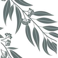 Botanical garden eucalyptus seamless tiles pattern with various eucalyptus species in natural greens on white background perfect for serene spaces Set 9 vector