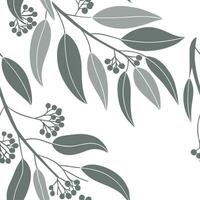 Botanical garden eucalyptus seamless tiles pattern with various eucalyptus species in natural greens on white background perfect for serene spaces Set 2 vector