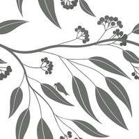 Botanical garden eucalyptus seamless tiles pattern with various eucalyptus species in natural greens on white background perfect for serene spaces Set 4 vector