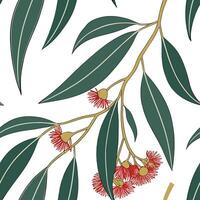Botanical garden eucalyptus seamless tiles pattern with various eucalyptus species in natural greens on white background perfect for serene spaces vector