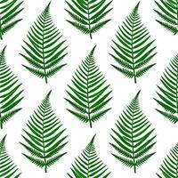 Art Nouveau fern seamless tiles pattern with flowing fern vines and intricate leaf details in emerald green tones for artistic interiors Set 3 vector