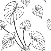 Abstract watercolor Pilea seamless pattern with splashes and drips on white background Set 3 vector