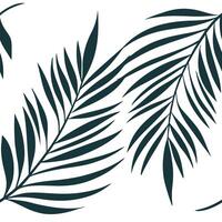 Elegant palm branches seamless pattern luxurious isolated white background suitable for high end fashion textiless branding packaging concept as Elegant palm branches seamless patte flat vector