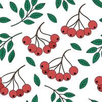 Flat Autumn berries and vines seamless tile pattern with deep reds and vibrant greens concept as Deep red berries and vibrant green vines create an autumn berries and vines seamles flat vector