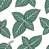 Flat Bohemian herb seamless tile pattern with lush green mint leaves and intricate vein details on a white background ideal for eclectic spaces concept as Lush green mint leaves wi flat vector
