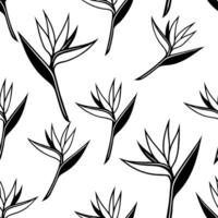 Flat Bold black and white Bird of Paradise seamless pattern with intricate linework on white background concept as Intricate black and white Bird of Paradise flowers with bold line flat vector