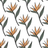 Flat Botanical Bird of Paradise seamless pattern with detailed petals and green stems on white background concept as Detailed botanical Bird of Paradise flowers with lush green ste flat vector