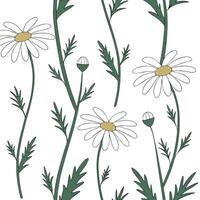 Flat Botanical garden daisy seamless tile pattern with various daisy species in natural whites on white background perfect for serene spaces concept as Various daisy species in nat flat vector