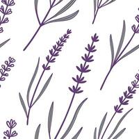Flat Botanical garden lavender seamless tile pattern with various lavender species in natural purples on white background perfect for serene spaces concept as Various lavender spec flat vector