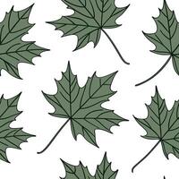 Flat Botanical maple leaves seamless pattern with detailed textures and green stems on white background concept as Detailed botanical maple leaves with lush green stems creating a flat vector
