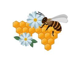 Bee on honeycomb with flowers vector