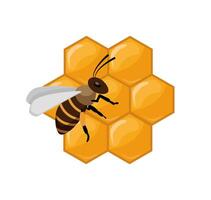 Bee on a honeycomb vector