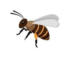 Flying Bee Side View vector