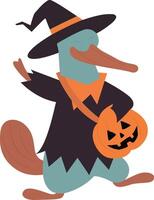 Platypus Witch Halloween Jack o lantern Trick vector