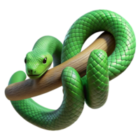 elegant artistic A slithering green snake wrapped around a tree branch, textured scales, jungle setting removed, nature photography style premium png