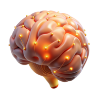 magnificent traditional A hyperrealistic rendering of a human brain with glowing neural pathways, lit by a soft, ethereal light, Medical Illustration style premium png