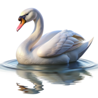 beautiful rustic A graceful swan gliding across a lake, serene setting, soft morning light, realistic style exclusive png
