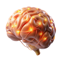 beautiful minimalist A hyperrealistic rendering of a human brain with glowing neural pathways, lit by a soft, ethereal light, Medical Illustration style high resolution png