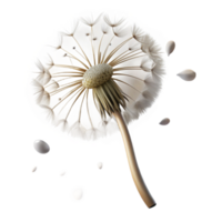 vibrant rustic A single dandelion seedhead with seeds blowing in the wind, ethereal lighting, dreamy style, macro photography detailed png