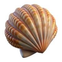 vibrant contemporary A close-up of a seashell, intricate texture and patterns, soft lighting, studio photography premium png